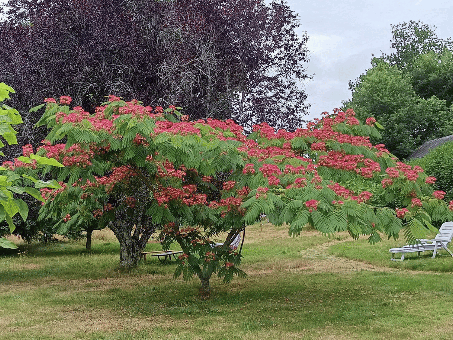 amenagement de jardin saint armel