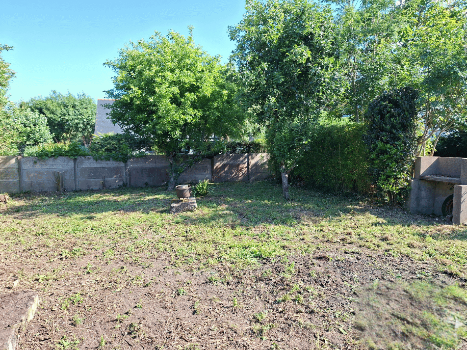 after-image