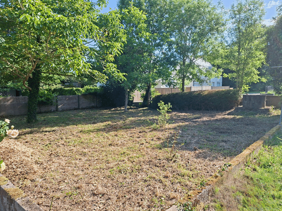 after-image