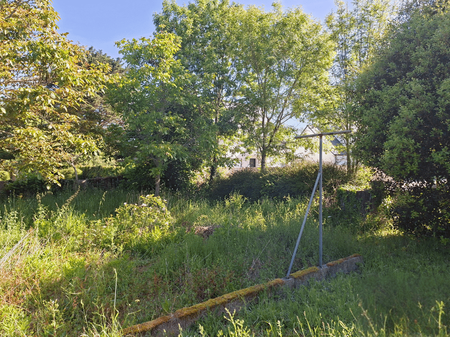before-image