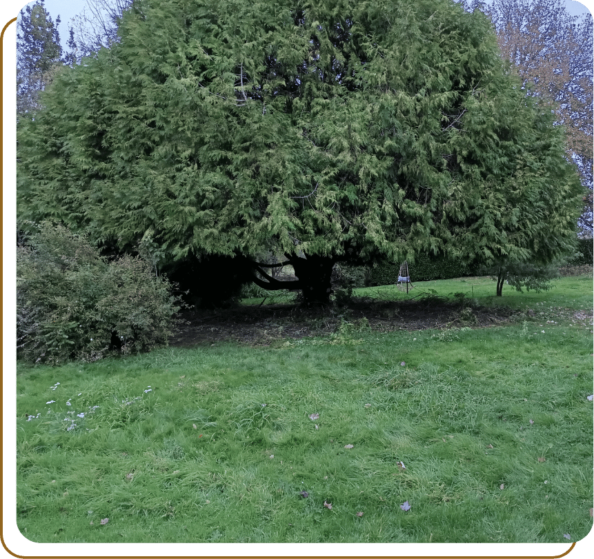 entretien de jardin saint gildas de rhuys