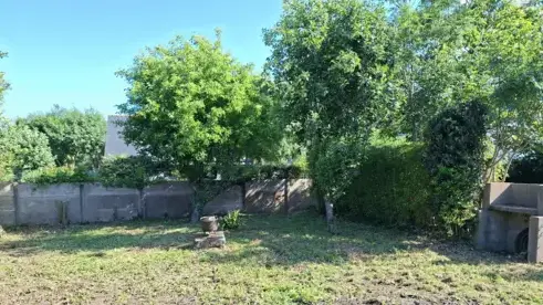 entretien des espaces verts à Sarzeau - image 2