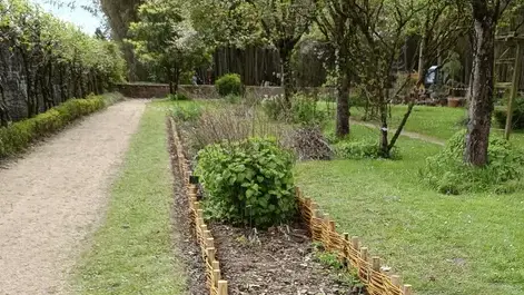 entretien des espaces verts Sarzeau-5