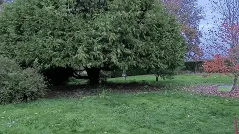 entretien des espaces verts Surzur-1