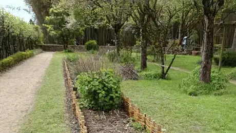 entretien des espaces verts à Surzur - image 3