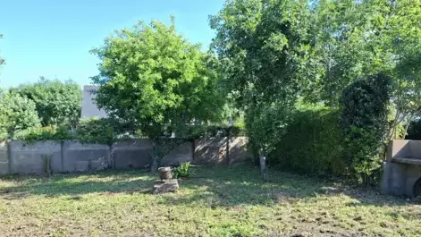 entretien des espaces verts Theix-Noyalo-5