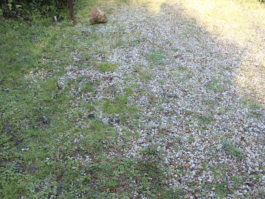 before-image