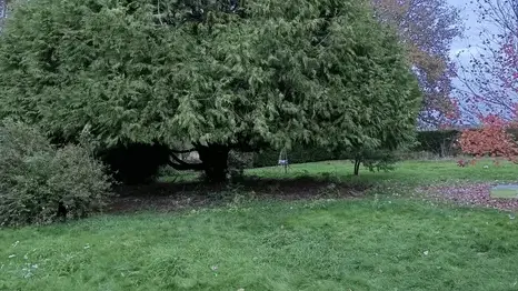 jardinier Sarzeau-1