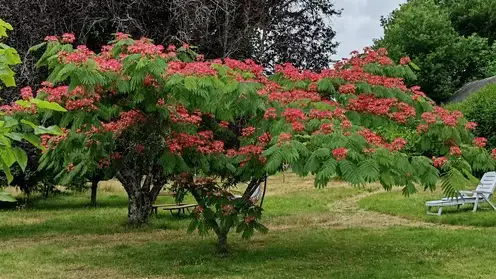 jardinier à Sarzeau - image 3