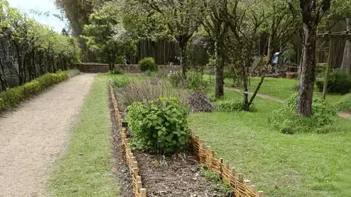 jardinier à Sarzeau - image 4