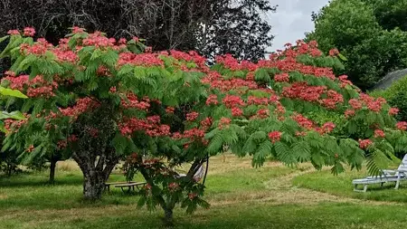jardinier à Surzur - image 2
