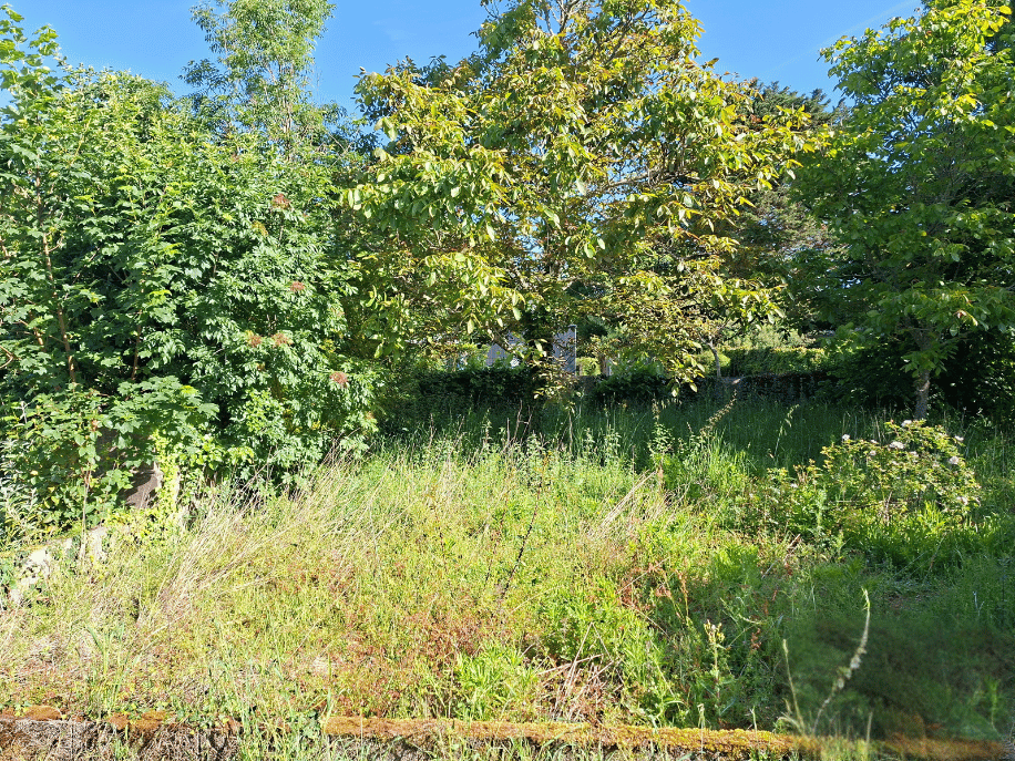 before-image