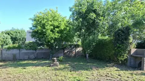 jardinier à Theix-Noyalo - image 3