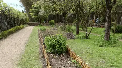 jardinier à Theix-Noyalo - image 4