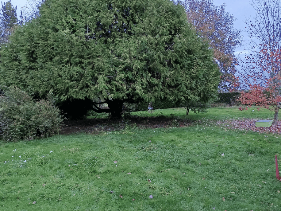 after-image