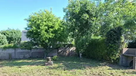 paysagiste à Sarzeau - image 3